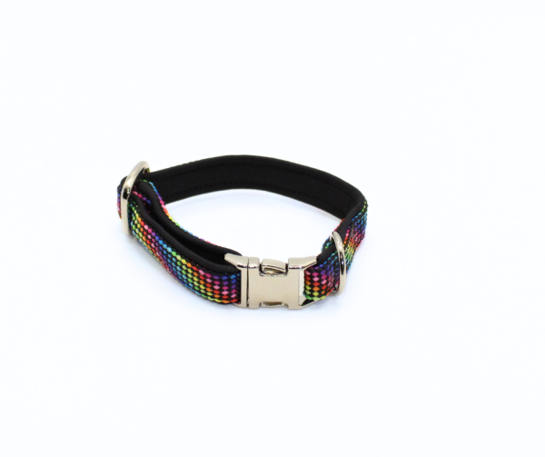 Halsband mit Metallschnalle, 2 cm